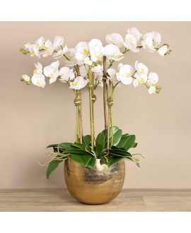 Artificial Orchid 