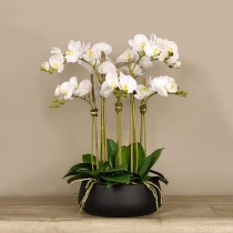 Artificial Orchid 