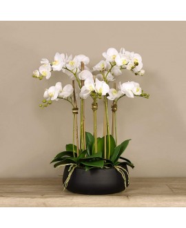 Artificial Orchid 