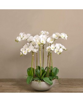Artificial Orchid 