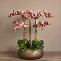 Artificial Orchid 