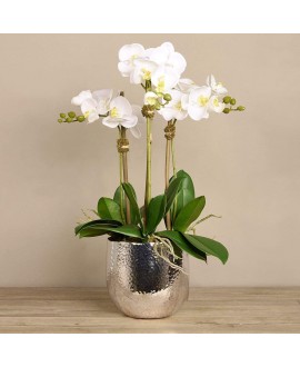 Artificial Orchid 