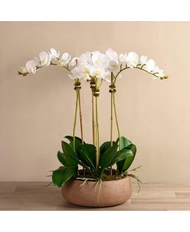 Artificial Orchid 
