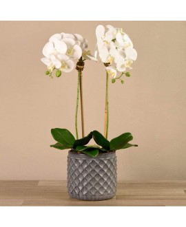 Artificial Orchid 