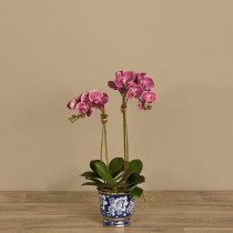 Artificial Orchid 