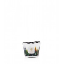 Rainforest Amazonia  Candle