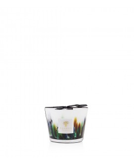 Rainforest Amazonia  Candle