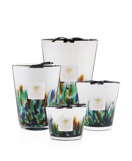 Rainforest Amazonia  Candle