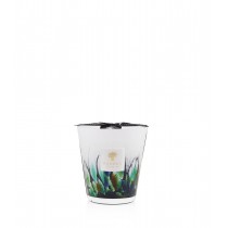 Rainforest Amazonia  Candle