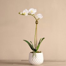 Artificial Orchid 