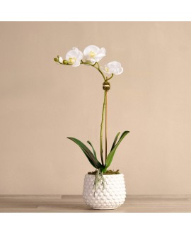 Artificial Orchid 