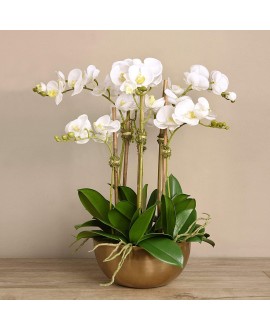 Artificial Orchid 