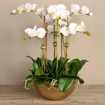 Artificial Orchid 