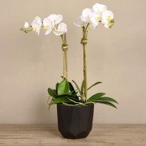 Artificial Orchid 