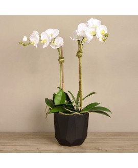 Artificial Orchid 