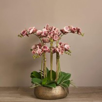Artificial Orchid 