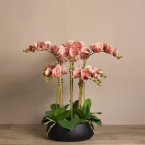 Artificial Orchid 