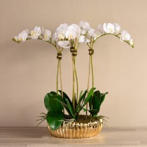 Artificial Orchid 
