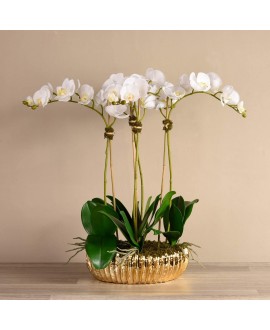 Artificial Orchid 