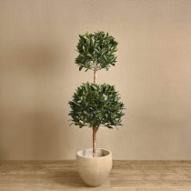 Artificial Laurel Tree