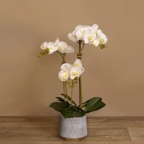 Artificial Orchid 