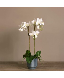 Artificial Orchid 