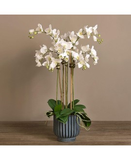 Artificial Orchid 