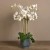 Artificial Orchid 
