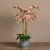Artificial Orchid 