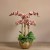 Artificial Orchid 