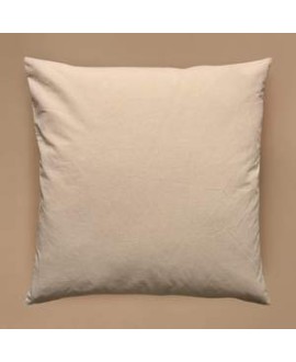 Cushion