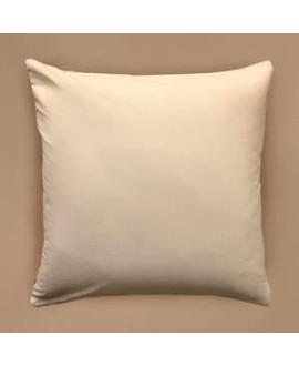 Cushion