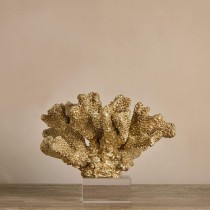 Coral Decoration