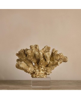 Coral Decoration