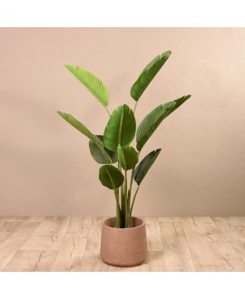 Artificial Strelitzia Plant