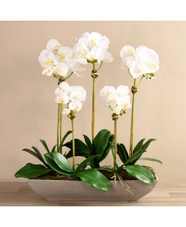 Contemporary Artificial Orchid Arrangement