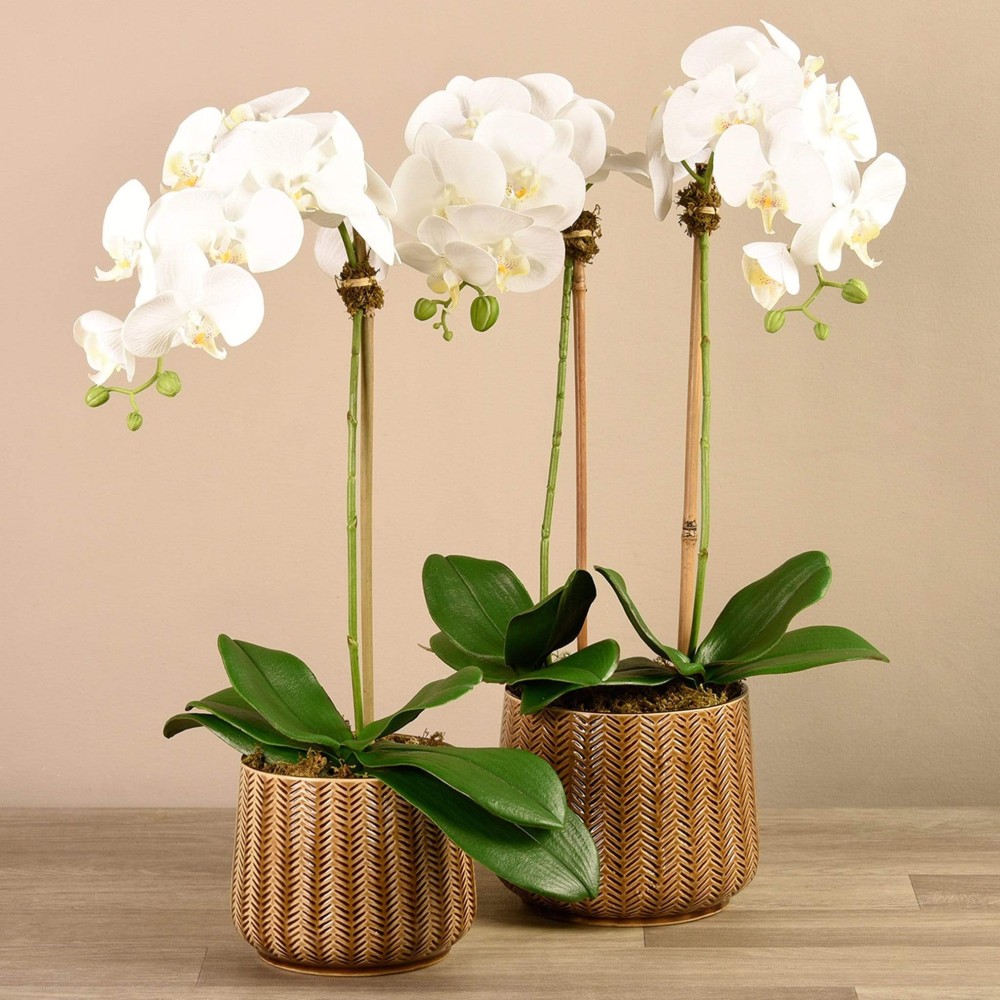 Artificial Orchid