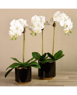 Artificial Orchid 