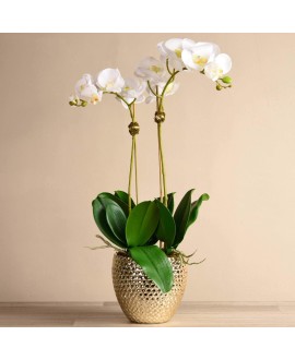 Artificial Orchid  