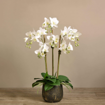  Artificial Orchid 