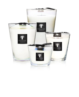 شمعة مدغشقر