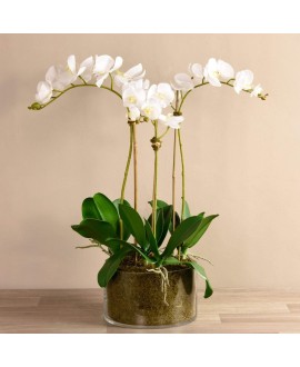 Artificial Orchid Arrangement in Glass Vase