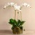 Artificial Orchid Arrangement in Glass Vase