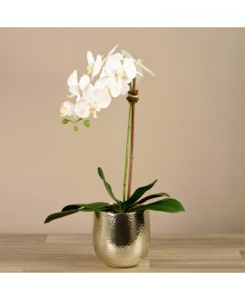 Jewel Artificial Orchid Arrangement