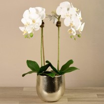 Jewel Artificial Orchid Arrangement