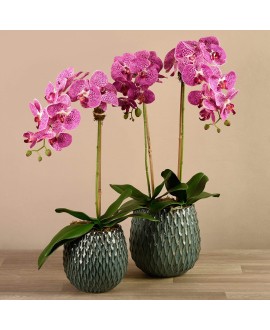 Artificial Orchid Arrangement 