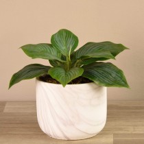 Artificial Potted Hosta