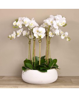 Oasis Artificial Orchids