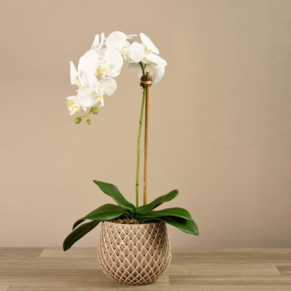 Artificial Orchid
