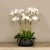 Oasis Artificial Orchids